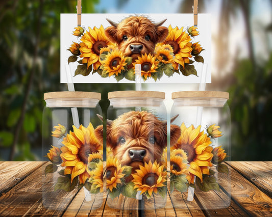 Adorable Highland Cow Surrounded by Sunflowers 16oz UVDTF Glass Can Wrap