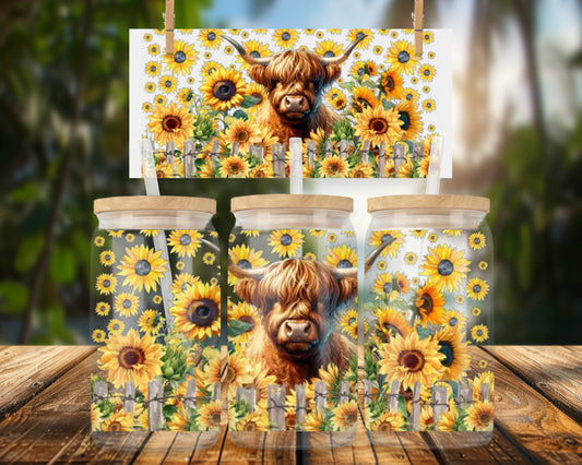 Highland Cow with Sunflowers 16oz UVDTF Glass Can Wrap