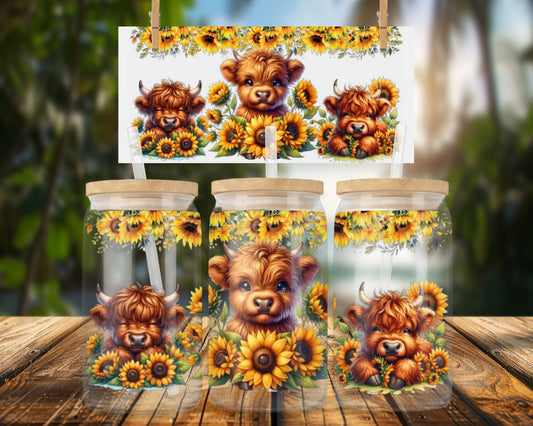 Adorable Highland Cow Trio with Sunflowers 16oz UVDTF Glass Can Wrap