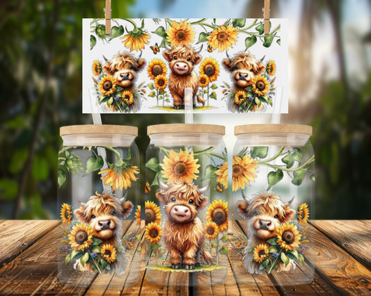 Highland Cows and Sunflowers 16oz UVDTF Glass Can Wrap